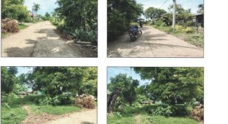 Foreclosed Property in Jones, Isabela · Lot 1043-E (PDIC)