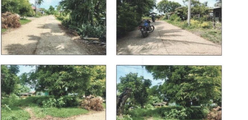 Foreclosed Property in Jones, Isabela · Lot 1043-E (PDIC)