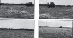 Foreclosed Agricultural Lot in Jones, Isabela · Lot 558 (PDIC)