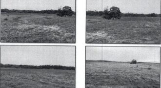 Foreclosed Agricultural Lot in Jones, Isabela · Lot 558 (PDIC)