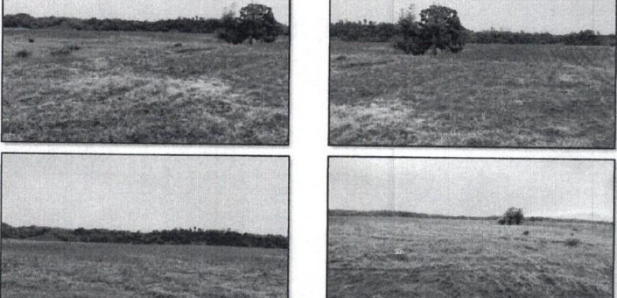 Foreclosed Agricultural Lot in Jones, Isabela · Lot 558 (PDIC)