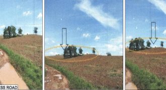 Foreclosed Agricultural Lot in Jones, Isabela · Lot 7666-A (PDIC)