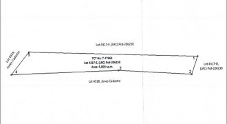 Foreclosed Agricultural Lot in Jones, Isabela · Lot 4317-E (PDIC)