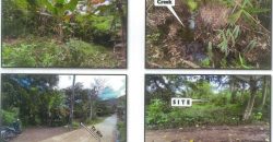 Foreclosed Residential Lot in Roxas, Capiz · Lot No. 1986-A-4-D-7 (PDIC)