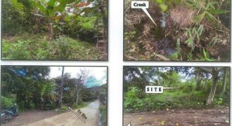 Foreclosed Residential Lot in Roxas, Capiz · Lot No. 1986-A-4-D-7 (PDIC)