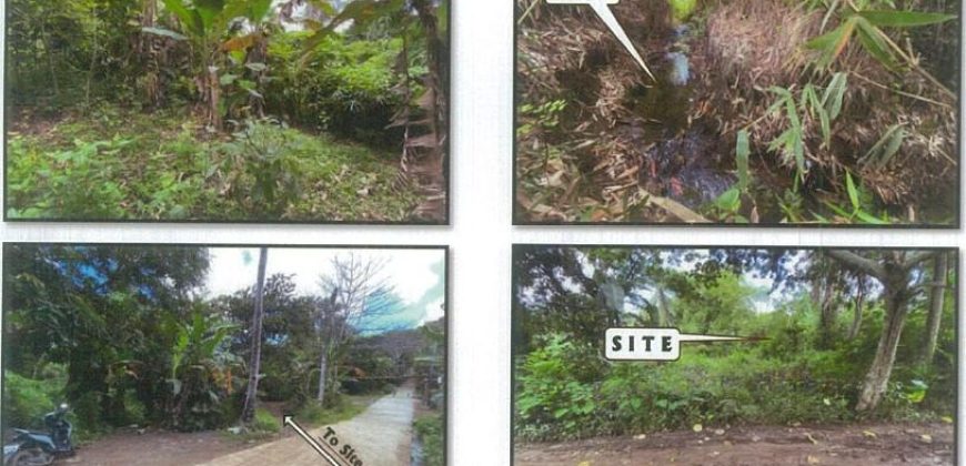 Foreclosed Residential Lot in Roxas, Capiz · Lot No. 1986-A-4-D-7 (PDIC)