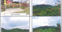 Foreclosed Agricultural Lot in Subic Bay, Zambales (PDIC)