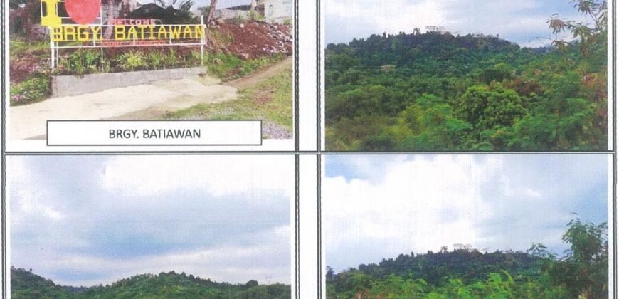 Foreclosed Agricultural Lot in Subic Bay, Zambales (PDIC)