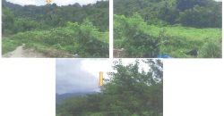 Foreclosed Agricultural Lot in Palauig, Zambales (PDIC)