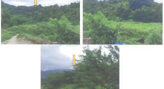 Foreclosed Agricultural Lot in Palauig, Zambales (PDIC)