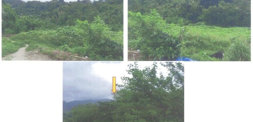 Foreclosed Agricultural Lot in Palauig, Zambales (PDIC)