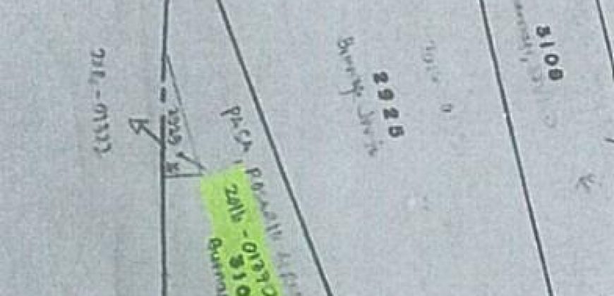 Foreclosed Agricultural Lot in Lagonoy, Camarines Sur (PDIC)