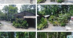 Foreclosed Property in Balaoan, La Union · Lot No. 9519 (PDIC)
