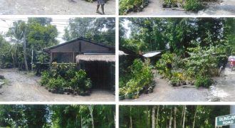 Foreclosed Property in Balaoan, La Union · Lot No. 9519 (PDIC)