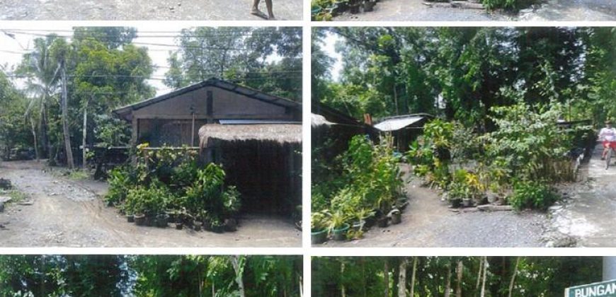 Foreclosed Property in Balaoan, La Union · Lot No. 9519 (PDIC)