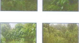 Foreclosed Residential Lot in Pililla, Rizal · Lot 61 (PDIC)