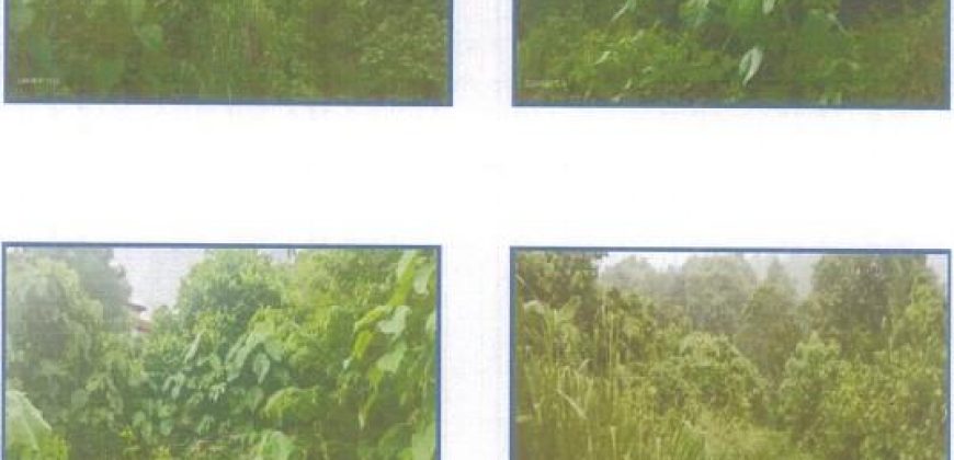 Foreclosed Residential Lot in Pililla, Rizal · Lot 61 (PDIC)