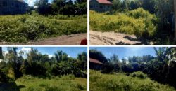 Foreclosed Residential Lot in Sta Maria, Bulacan (PDIC)