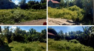 Foreclosed Residential Lot in Sta Maria, Bulacan (PDIC)