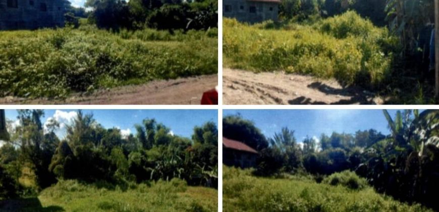 Foreclosed Residential Lot in Sta Maria, Bulacan (PDIC)