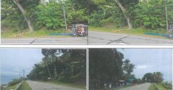 Foreclosed Agricultural Lot in Padre Burgos, Southern Leyte · Lot 2792 (PDIC)