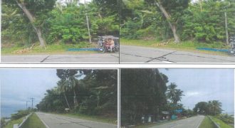 Foreclosed Agricultural Lot in Padre Burgos, Southern Leyte · Lot 2792 (PDIC)