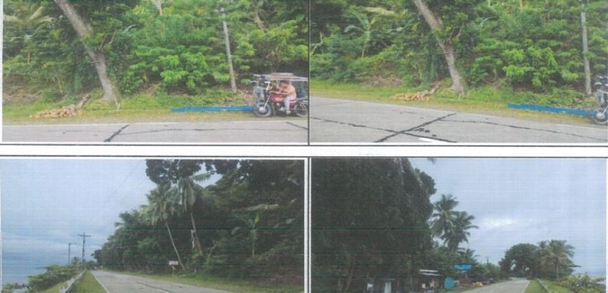 Foreclosed Agricultural Lot in Padre Burgos, Southern Leyte · Lot 2792 (PDIC)