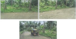 Foreclosed Agricultural Lot in Libagon, Southern Leyte (PDIC)