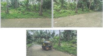 Foreclosed Agricultural Lot in Libagon, Southern Leyte (PDIC)