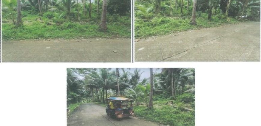 Foreclosed Agricultural Lot in Libagon, Southern Leyte (PDIC)