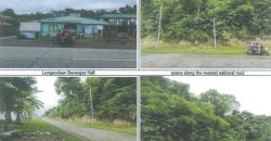 Foreclosed Agricultural Lot in Padre Burgos, Southern Leyte (PDIC)