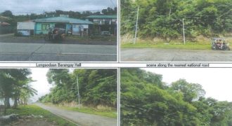 Foreclosed Agricultural Lot in Padre Burgos, Southern Leyte (PDIC)