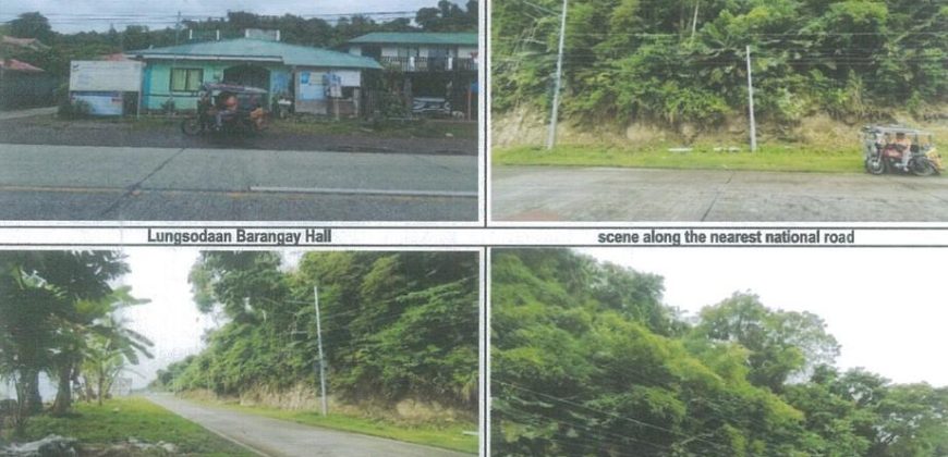 Foreclosed Agricultural Lot in Padre Burgos, Southern Leyte (PDIC)