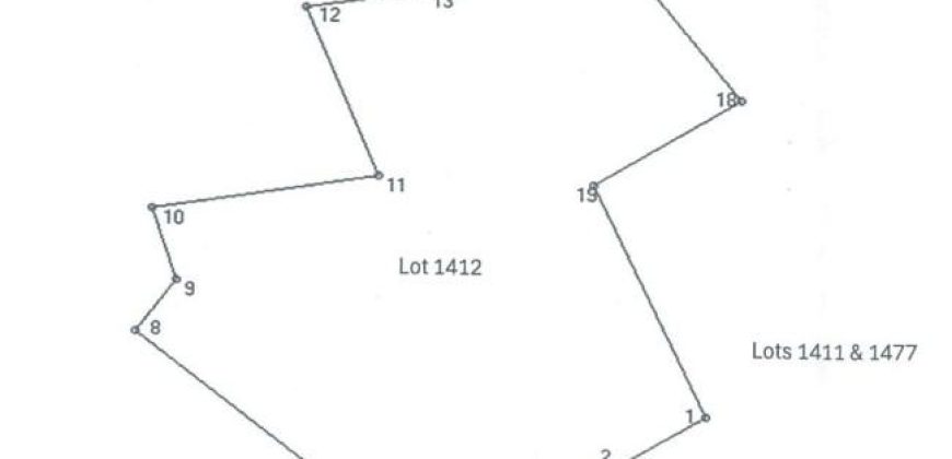 Foreclosed Agricultural Lot in San Jose, Negros Oriental (PDIC)