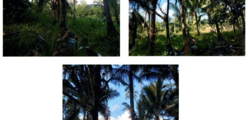 Foreclosed Agricultural Lot in Barobo, Surigao del Sur (PDIC)
