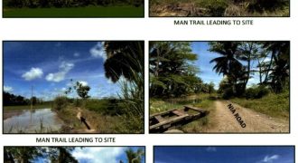 Foreclosed Agricultural Lot in Prosperidad, Agusan del Sur (PDIC)