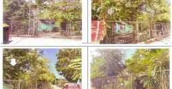 Foreclosed Property in Balaoan, La Union · Lot 29075-PT (PDIC)