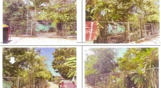 Foreclosed Property in Balaoan, La Union · Lot 29075-PT (PDIC)
