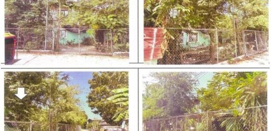 Foreclosed Property in Balaoan, La Union · Lot 29075-PT (PDIC)