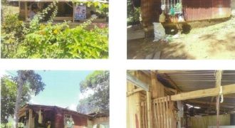 Foreclosed Property in Santol, La Union (PDIC)