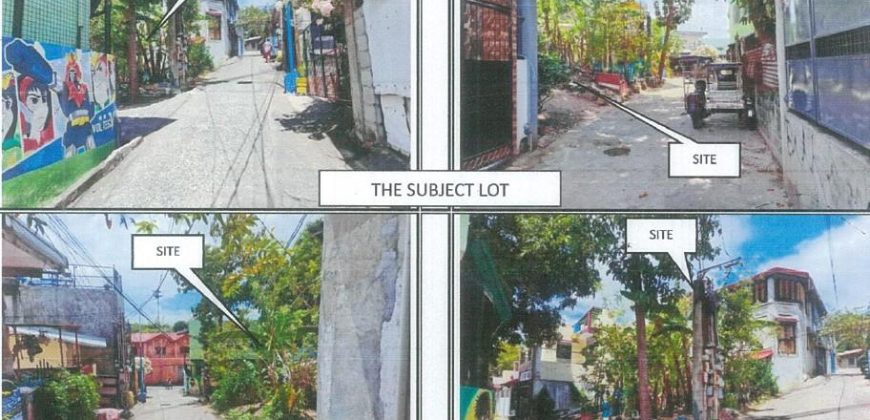 Foreclosed Agricultural Lot in Binangonan, Rizal · Lot No. 10467-P (PDIC)