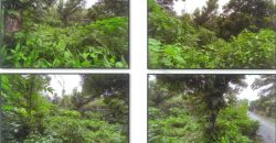 Foreclosed Residential Lot in Badiangan, Iloilo – Green Farm Road (PDIC)