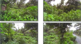 Foreclosed Residential Lot in Badiangan, Iloilo – Green Farm Road (PDIC)