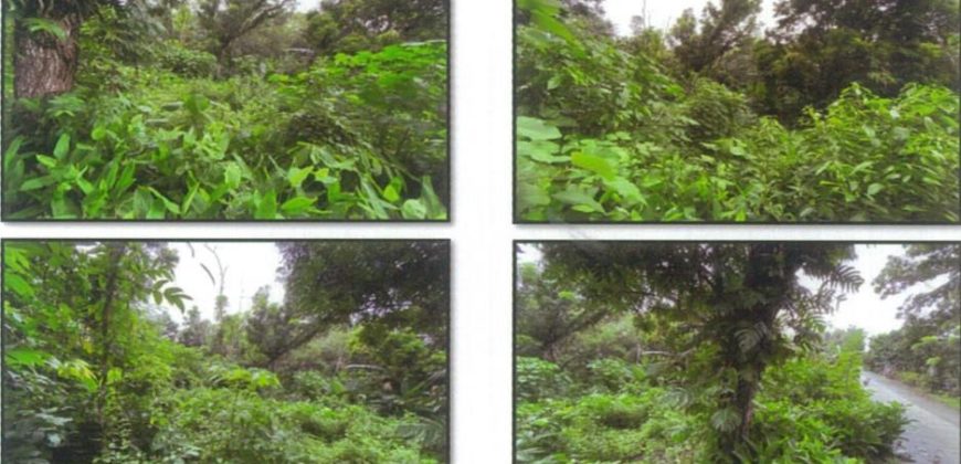 Foreclosed Residential Lot in Badiangan, Iloilo – Green Farm Road (PDIC)