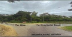 Foreclosed Residential Lot in Buenavista, Iloilo · Lot 793-A (PDIC)