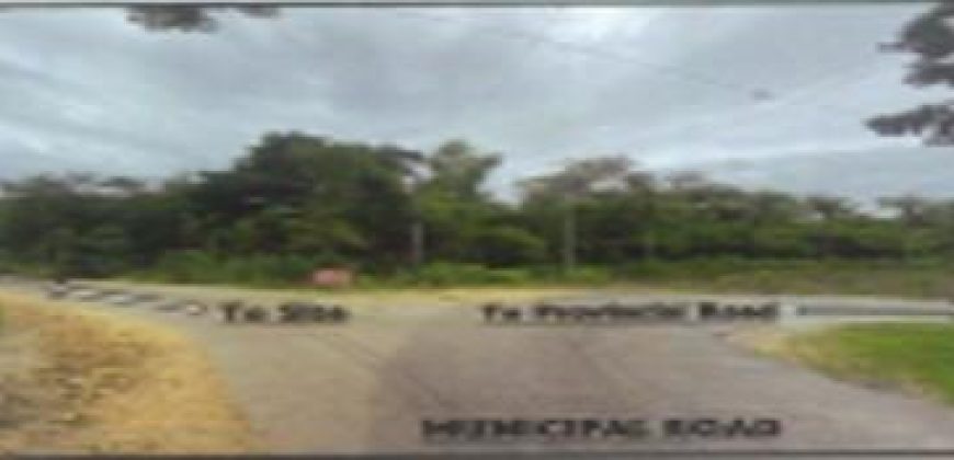 Foreclosed Residential Lot in Buenavista, Iloilo · Lot 793-A (PDIC)