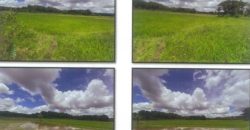 Foreclosed Agricultural Lot in Dumalag, Capiz