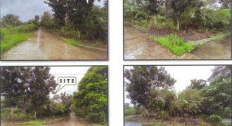 Foreclosed Residential Lot in Badiangan, Iloilo – Green Farm Road · Lot 2910-F-11-E-1 (PDIC)