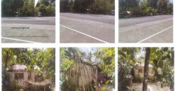 Foreclosed Property in Irosin, Sorsogon · Lot No. 133 (PDIC)