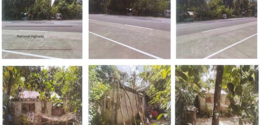 Foreclosed Property in Irosin, Sorsogon · Lot No. 133 (PDIC)